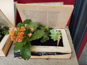 Création de livres végétaux